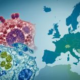 La sifilis y la gonorrea incrementan en Europa