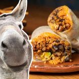 ¿Por qué se llama ‘burrito’?