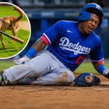 El prometedor jardinero de los Dodgers, Kendall George, sufrió una lesión en el tendón rotuliano.