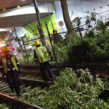 Debido a este incidente se suspendió el paso de trenes en el tramo que va de Estadio Azteca a Xochimilco.