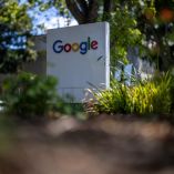 La división Verily de Alphabet solicitó autorización para liberar 32 millones de mosquitos macho infectados con Wolbachia en Estados Unidos.