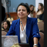 PAN pedirá un informe
