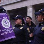El partido destacó la importancia de fortalecer las instituciones encargadas de garantizar la seguridad y el acceso a la justicia para las mujeres.