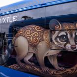 La obra requirió una inversión de 444 millones de pesos para la adquisición de unidades