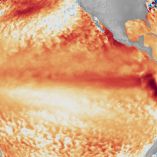 El Servicio Meteorológico Nacional de la NOAA emitió un aviso de formación para el fenómeno de El Niño.