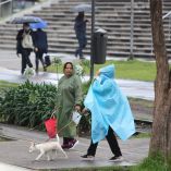 Paseo de la Reforma y Anillo Periférico concentraron las mayores emergencias por la fuerte precipitación acompañada de rachas de vientos de más de 50 kilómetros por hora.