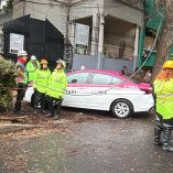 El ramaje golpeó directamente el toldo y el parabrisas de un taxi con placas de circulación A-1698-E.