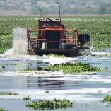 La contaminación del agua permanece a lo largo del Río Tula y el Río El Salto, desde donde se distribuye a los productores agrícolas del Valle del Mezquital, para llegar a la Presa Endhó.
