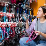 ¿Collar o pechera para perro?