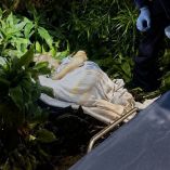 Vecinos rescataron a un adulto mayor con cáncer abandonado en un parque de Palmira, Colombia; autoridades investigan el caso.