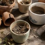 Errores con tus macetas: la guía definitiva para no sabotear tus plantas de interior y exterior