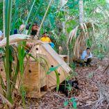 Los ejemplares provenían de decomisos realizados por autoridades ambientales durante operativos contra el tráfico ilegal de fauna silvestre.