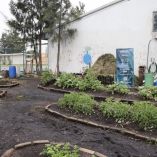 La iniciativa, que busca acercar soluciones frente a la crisis hídrica a través del aprendizaje práctico, beneficiará de manera directa a alrededor de 4 mil 200 personas y, de forma indirecta, a más de 8 mil.