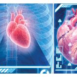 La grasa que rodea al corazón, por ejemplo, está lejos de ser inofensiva: es un tejido que produce sustancias inflamatorias que a su vez endurecen las arterias y terminan por obstruirlas.