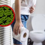 El parásito Cyclospora cayetanensis provoca una enfermedad intestinal con diarrea intensa.