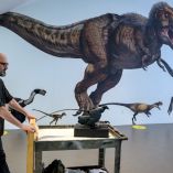 Un modelo del dinosaurio Microraptor exhibido en Estados Unidos.