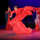 V Festival Internacional Flamenco MX