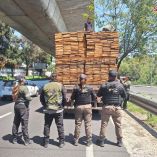 La detención del hombre y aseguramiento de la madera estuvo a cargo de las secretarías de Seguridad Ciudadana y del Medio Ambiente