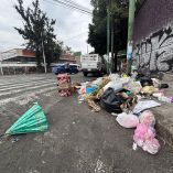 Rezago en el espacio público: Parques dañados, grietas, falta de podado y crisis de basura merman la imagen de Iztapalapa