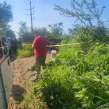 Personal del Instituto Jalisciense de Ciencias Forenses acudió al lugar y confirmó el hallazgo de tres cuerpos calcinados