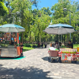 puestos