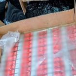Aseguran millones de cigarros