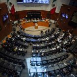 senado