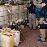 Autoridades aseguran combustible, dinero y vehículos durante cateo en Hidalgo