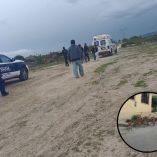 Ataques de jaurías dejan 2 muertos y 3 heridos en Hidalgo