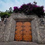 Antes de morir, Dolores Olmedo estipuló que los martes el ingreso al museo que lleva su nombre sería de forma gratuita.