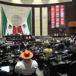 El COLEFOM indica que “las modificaciones constitucionales a los artículos 82, 116, y 122 impactarían negativamente “el núcleo esencial de nuestro derecho a la participación”.
