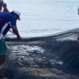 pescadores