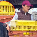 Integrante de la DTUMA carga jaula con tucán rescatado en Ixtapaluca.
