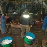 aseguramiento de drogas