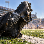 Las altas temperaturas hicieron estragos durante el encuentro entre Philadelphia Eagles y Tennessee Titans, con zapatos derretidos y jugadores intentando enfriar su calzado en pleno partido.