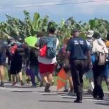 Caravana migrante