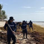 Semarnat urgió a países del Caribe a aplicar medidas en contra el sargazo, advirtió que en el punto más alto de la temporada llegan a circular hasta 90 mil toneladas al día en el Caribe Mexicano