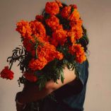 ¿Cómo elegir una flor de cempasúchil para que sí te dure?