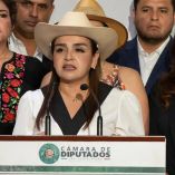 Grecia Quiroz acudió a la Cámara de Diputados