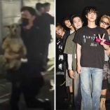 Perrito aparece en concierto de BTS en Perú