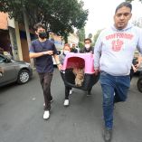 Perros