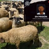 detenido