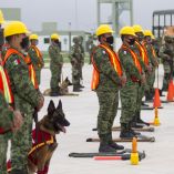 Los elementos son apoyados con mil 470 vehículos, 323 equipos de maquinaria pesada y 18 aeronaves que se han desplazado para brindar atención en las entidades afectadas.