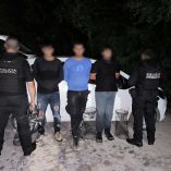 Por primera vez, detienen y procesan a saqueadores de tortuga Casquito de Vallarta