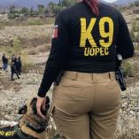 Binomios caninos y agentes ministeriales peinan el cauce del río y del arroyo El Pípila para ubicar al menos a cuatro personas que continúan desaparecidas.