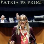 La verdeecologista dijo que la plataforma puede convertirse en un mecanismo que ayude a cobrar un predio más cercano al valor comercial de los inmuebles.