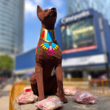 Así los xoloitzcuintles en CDMX