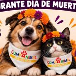 Lomitos y michis en Día de Muertos
