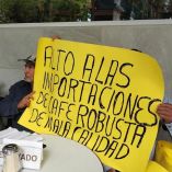 cafetaleros