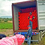 La instalación de las barreras busca mejorar la organización de los trabajos de limpieza y control del insecto en el embalse.